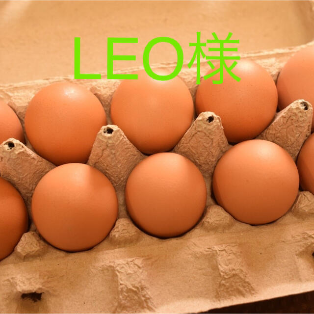 LEO様専用　平飼いたまご50個 食品/飲料/酒の食品(野菜)の商品写真