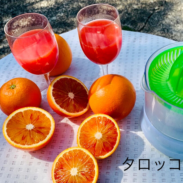 ブラッドオレンジ　優品　10キロ 食品/飲料/酒の食品(フルーツ)の商品写真