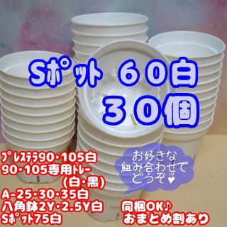 【スリット鉢】Ｓポット丸型60白30個 2号 プレステラ 多肉植物 プラ鉢(プランター)