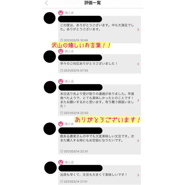 高知県産 土佐文旦 ぶんたん 10kg 大玉3～4L 食品/飲料/酒の食品(フルーツ)の商品写真