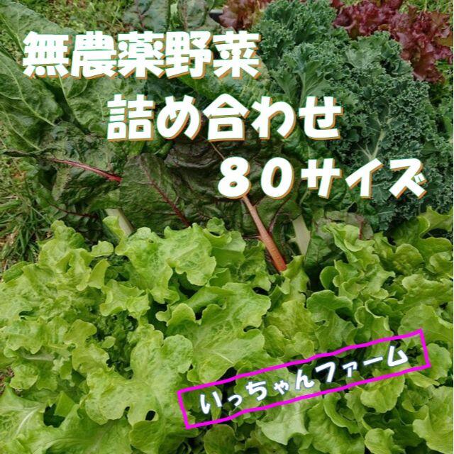 安全・安心野菜　野菜詰め合わせ　８０サイズ　４月１７日～１８日発送 食品/飲料/酒の食品(野菜)の商品写真