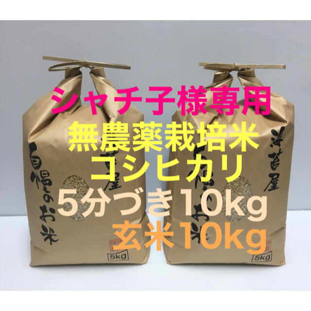 シャチ子様専用 無農薬コシヒカリ玄米10kg、5分づき10kg 令和2年 徳島産