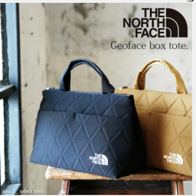 THE NORTH FACE(ザノースフェイス)のTHE NORTH FACE ジオフェイスボックス トートバッグ レディースのバッグ(トートバッグ)の商品写真