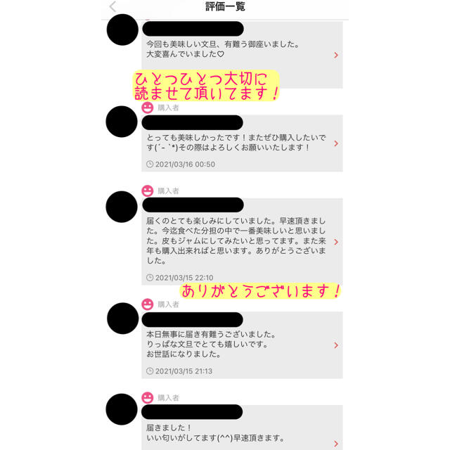 高知県産 土佐文旦 ぶんたん 10kg 大玉3～4L 食品/飲料/酒の食品(フルーツ)の商品写真