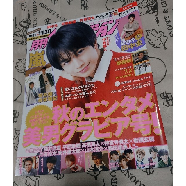 Johnny's(ジャニーズ)の月刊テレビジョン【表紙:中島健人】2018年12月号 エンタメ/ホビーの雑誌(アート/エンタメ/ホビー)の商品写真