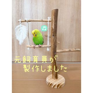 止まり木　鳥　ハンドメイド  流木　ブランコ　おもちゃ　小鳥(鳥)