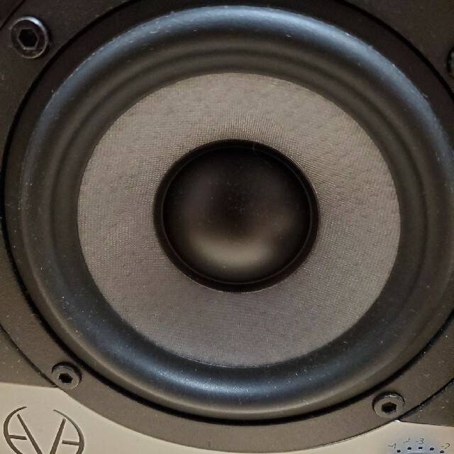Eve Audio SC204 ペア おまけ付き | www.jarussi.com.br