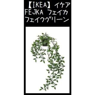 イケア(IKEA)の【IKEA】イケア　FEJKA フェイカ　人工観葉植物(置物)