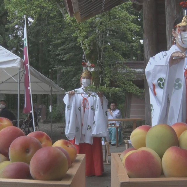 令和紀州南高梅干し4パック 2