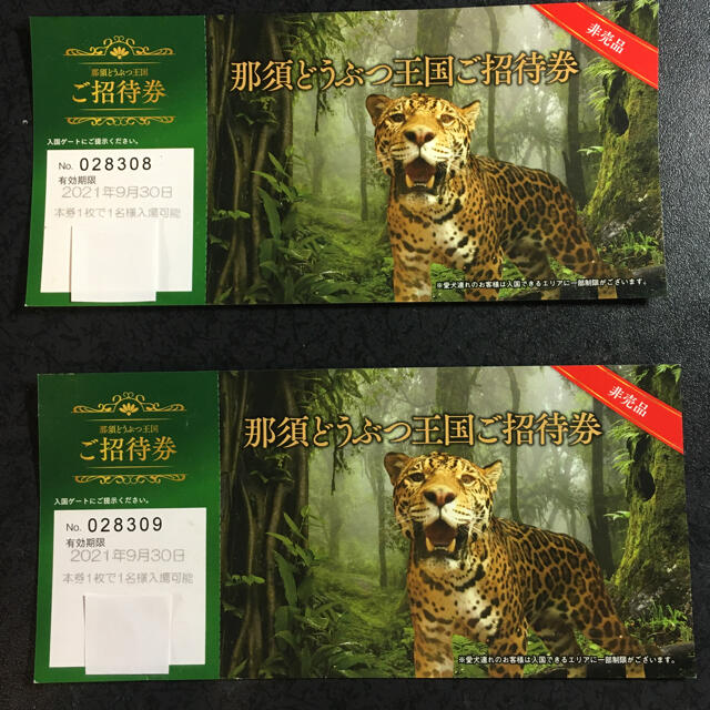 那須どうぶつ王国　招待券　2枚 チケットの施設利用券(動物園)の商品写真
