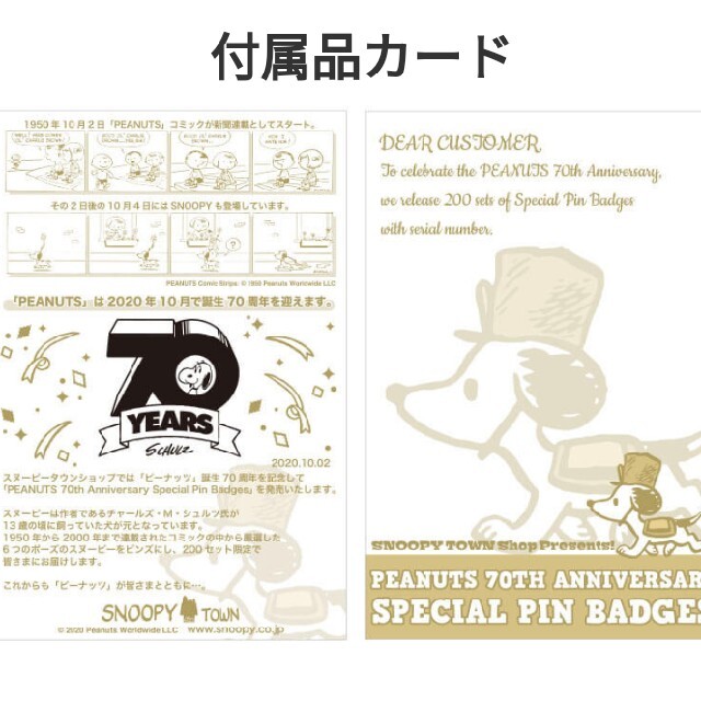 SNOOPY(スヌーピー)のスヌーピー　誕生祭　ピンバッジセット エンタメ/ホビーのおもちゃ/ぬいぐるみ(キャラクターグッズ)の商品写真