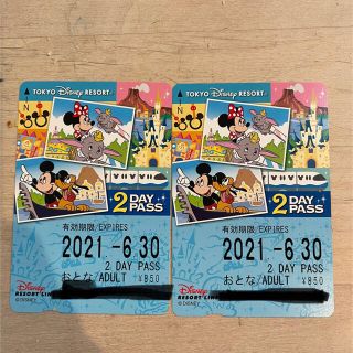 ディズニー(Disney)のディズニーリゾートライン　2DAY PASS(遊園地/テーマパーク)