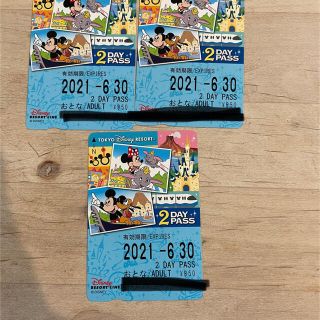 ディズニー(Disney)のディズニーリゾートライン　2DAY PASS(遊園地/テーマパーク)