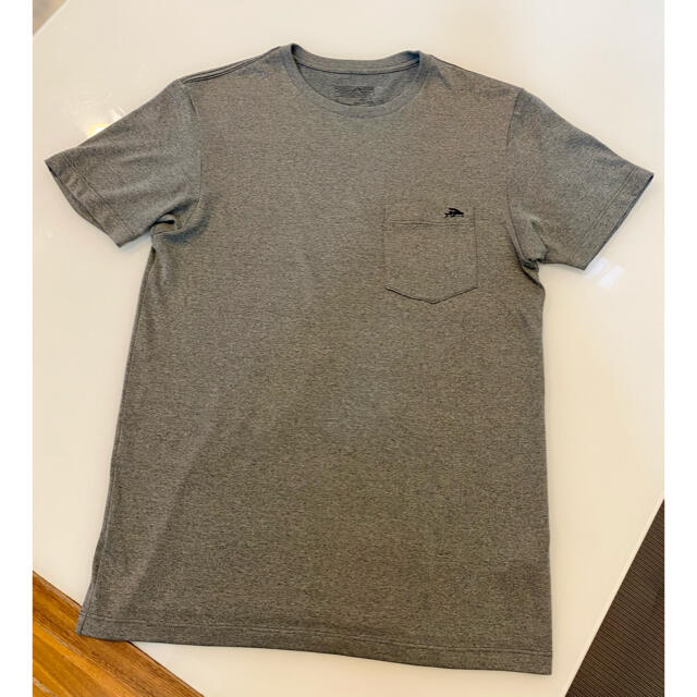 patagonia(パタゴニア)のパタゴニア　Tシャツ メンズのトップス(Tシャツ/カットソー(半袖/袖なし))の商品写真