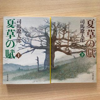 司馬遼太郎「夏草の賦」上下二巻(文学/小説)