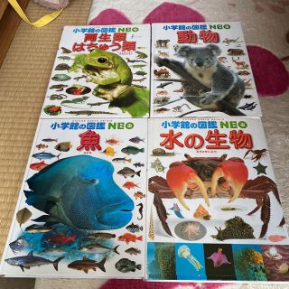 ショウガクカン(小学館)の小学館の図鑑NEO 4冊(語学/参考書)