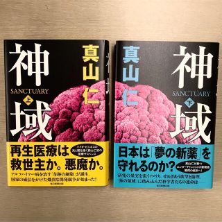 神域 上・下(文学/小説)