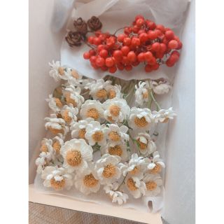 花かんざし35本（茎付き） ❋ペッパーベリー❋ミニミニ松ぼっくりドライフラワー(ドライフラワー)