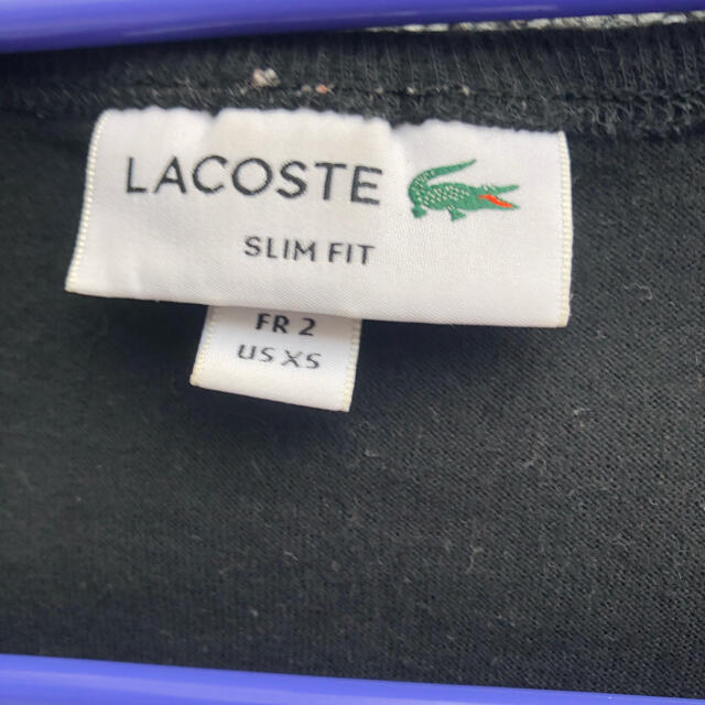 LACOSTE(ラコステ)のLACOSTE半袖 レディースのトップス(Tシャツ(半袖/袖なし))の商品写真