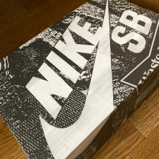 NIKE(ナイキ)の限定BOX★WASTED YOUTH  × NIKE SB DUNK LOW メンズの靴/シューズ(スニーカー)の商品写真