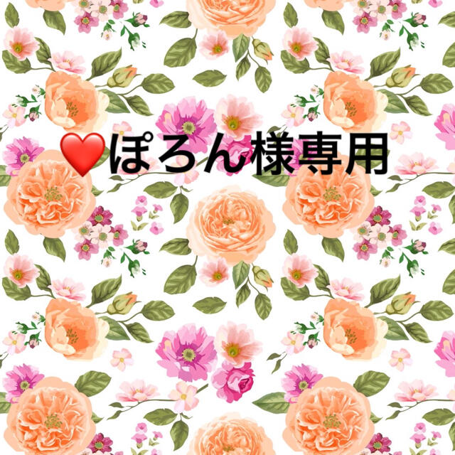 ❤ぽろん様専用❤ 人気を誇る 9240円引き contecenter.ru