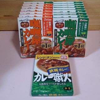 ハウスショクヒン(ハウス食品)のレトルトカレー　甘口　中辛　16個(レトルト食品)