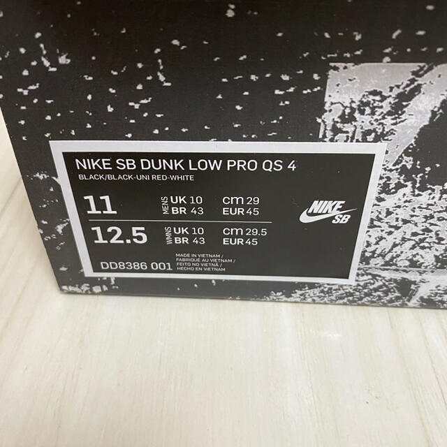 NIKE(ナイキ)のWasted Youth × NIKE SB DUNK LOW （SP BOX） メンズの靴/シューズ(スニーカー)の商品写真