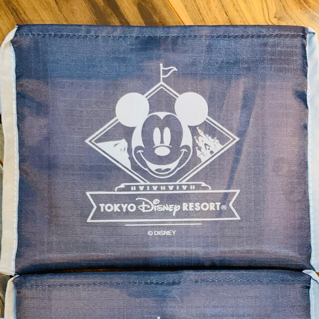 Disney(ディズニー)のディズニー　エコバッグ　新品 レディースのバッグ(エコバッグ)の商品写真
