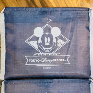 ディズニー(Disney)のディズニー　エコバッグ　新品(エコバッグ)