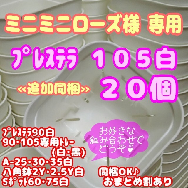 【スリット鉢】プレステラ105白20個 多肉植物 プラ鉢 ハンドメイドのフラワー/ガーデン(プランター)の商品写真