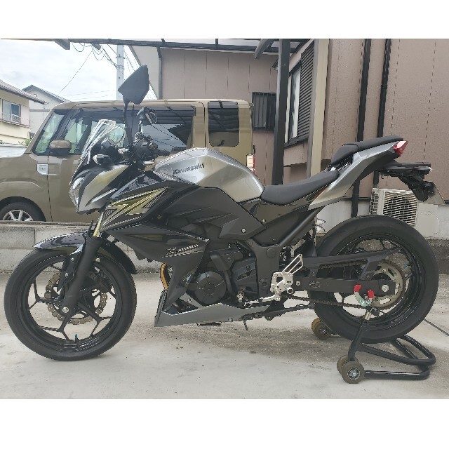 カワサキ Z250 (ABS付) 自動車/バイク バイク 車体 rhythmtrick.com