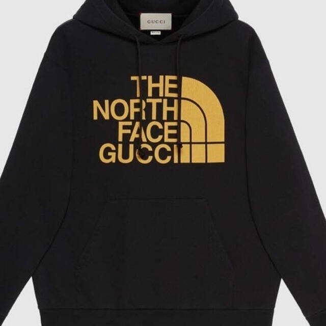 Gucci(グッチ)のGUCCI × ザ・ノースフェイス　コラボパーカー メンズのトップス(パーカー)の商品写真