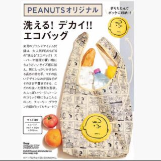 タカラジマシャ(宝島社)のPEANUTS チャーリー・ブラウン　エコバッグ(エコバッグ)