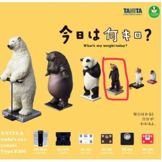 タカラトミー(Takara Tomy)の今日は何キロ？(その他)