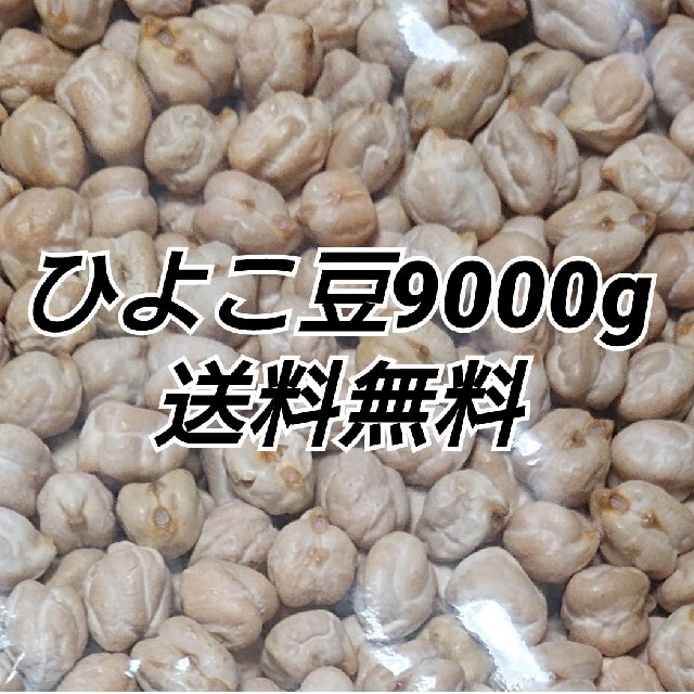 ひよこ豆900g/Garbanzo・White chana 乾燥豆 食品/飲料/酒の食品(米/穀物)の商品写真