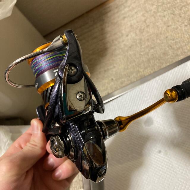 DAIWA(ダイワ)のレブロス2500番 スポーツ/アウトドアのフィッシング(リール)の商品写真