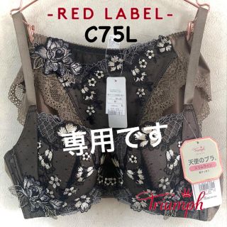 トリンプ(Triumph)のトリンプ PREMIUM RED LABEL 天使のブラ スリムライン C75L(チュニック)