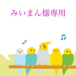 みいまん様専用　ロープ17本(鳥)