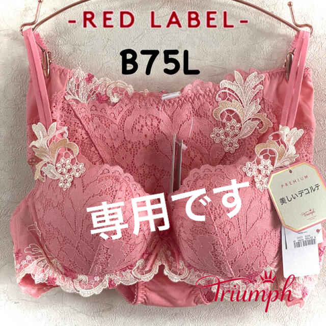 Triumph(トリンプ)のトリンプ PREMIUM RED LABEL 0066 リーフ B75L  レディースのレディース その他(セット/コーデ)の商品写真