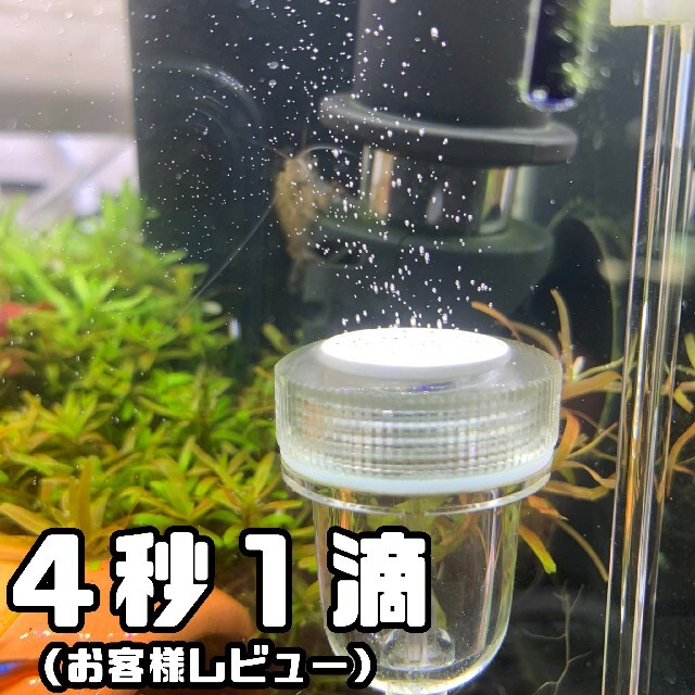 Diffuser アクアリウム 水槽 Co2 ディフューザーの通販 By Kapura Aqua Systems ラクマ Diffuser アクアリウム 水槽 Co2 ディフューザーの通販 By Kapura Aqua Systems ラクマ