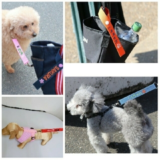 犬用(ペット)リードと散歩バッグ用セット 刺繍ネーム(リード/首輪)