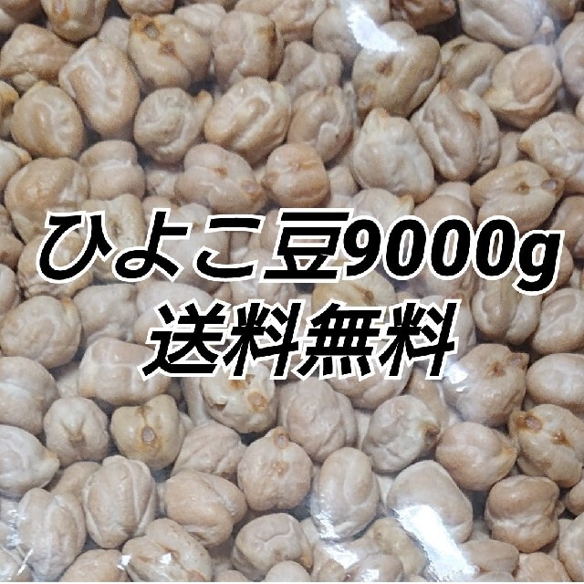 ひよこ豆900g/Garbanzo・White chana 乾燥豆 食品/飲料/酒の食品(米/穀物)の商品写真