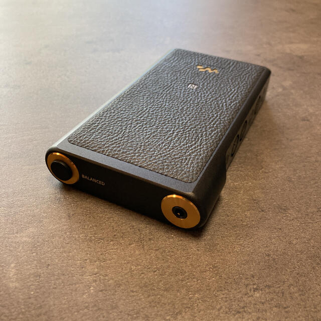 SONY NW-WM1A +おまけ | www.causus.be