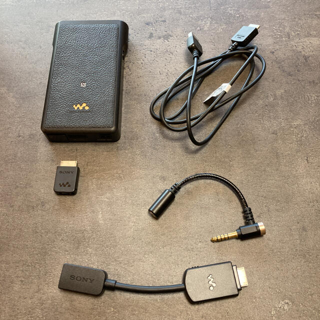 SONY NW-WM1A +おまけ | www.causus.be