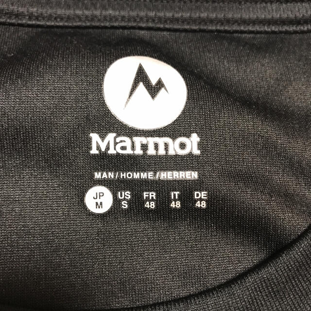 MARMOT(マーモット)のマーモット　Tシャツ　Mサイズ スポーツ/アウトドアのアウトドア(登山用品)の商品写真