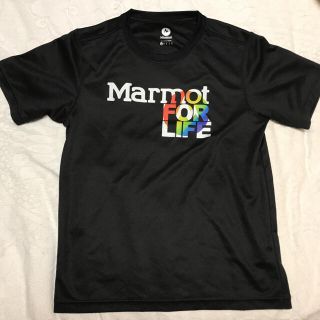 マーモット(MARMOT)のマーモット　Tシャツ　Mサイズ(登山用品)