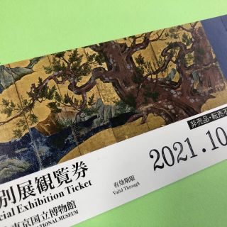 国立博物館※特別展観覧券(美術館/博物館)