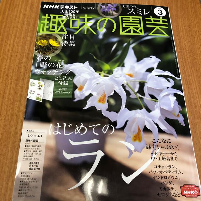 NHK 趣味の園芸 2021年 03月号 エンタメ/ホビーの雑誌(専門誌)の商品写真