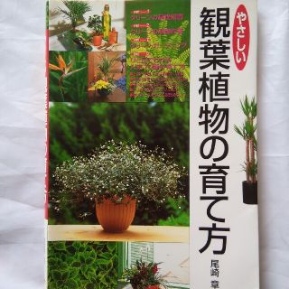 やさしい観葉植物の育て方　西東社　中古　カバーに傷みあり(趣味/スポーツ/実用)