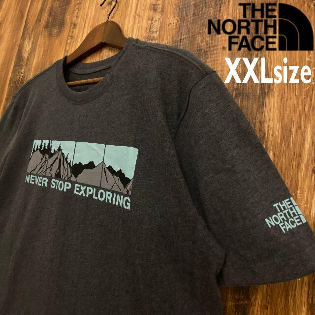 THE NORTH FACE(ザノースフェイス)の【USAモデル】THE NORTH FACE Tシャツ/T019XXL メンズのトップス(Tシャツ/カットソー(半袖/袖なし))の商品写真